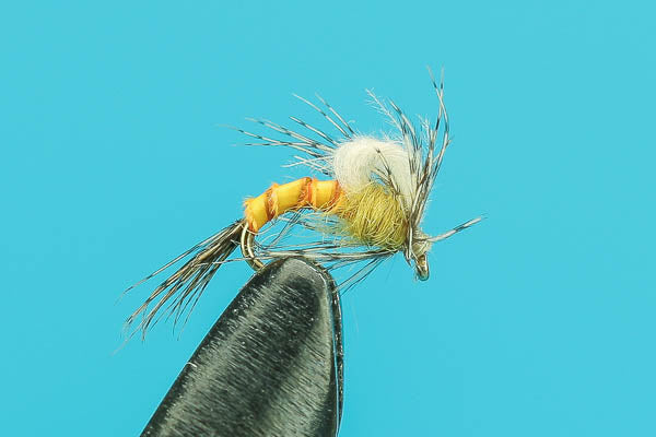 Sulphur CDC Biot Emerger