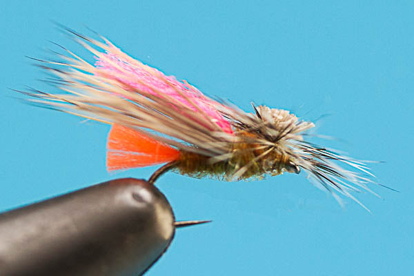 Tactical Caddis