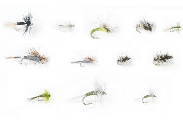 Winter Trout Dries Assortment–24 Flies #60