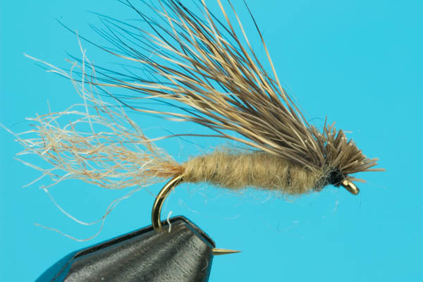 X Caddis