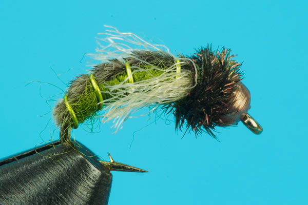 Z-Wing Caddis-Beadhead