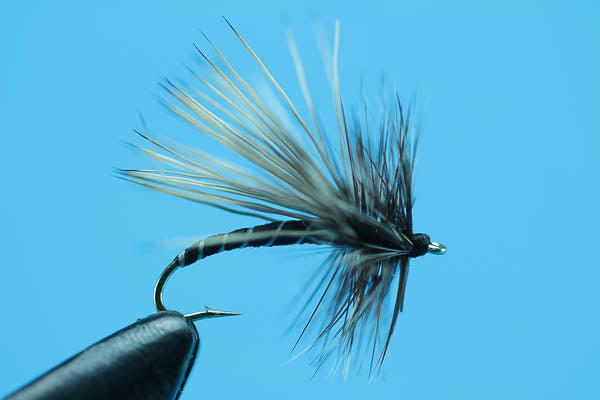 Adams Caddis