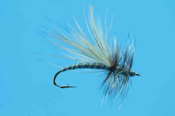 Adams Caddis