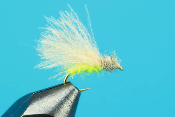 Apple Caddis