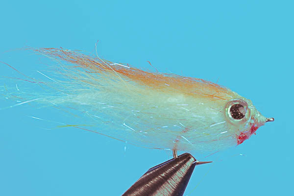 Bambino Minnow