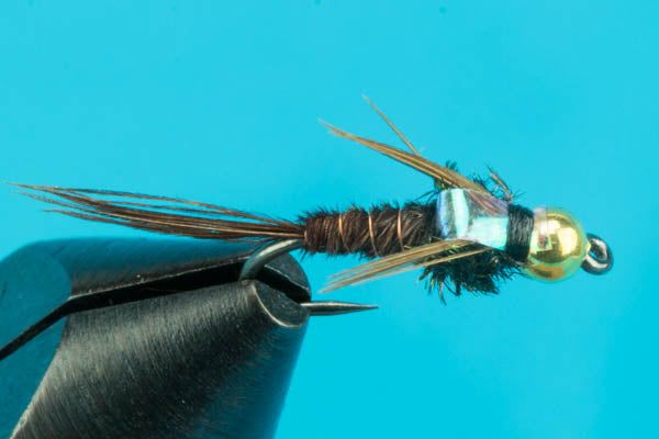 Barbless Beadhead Flashback Pheasant Tail