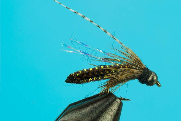 Braided Caddis Pupa-Beadhead