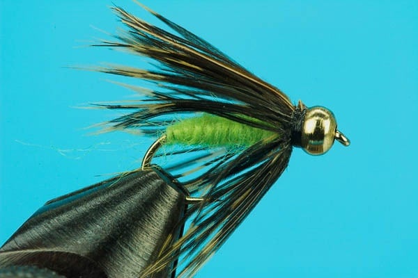 Caddis Pupa-Beadhead