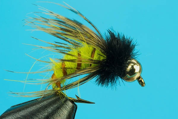 Circus Caddis-Beadhead