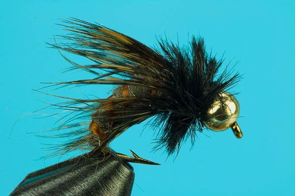 Circus Caddis-Beadhead