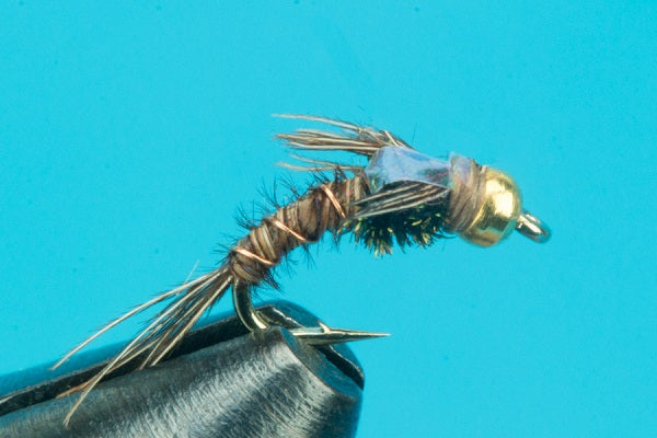 Flashback Pheasant Tail Curved Hook-Beadhead