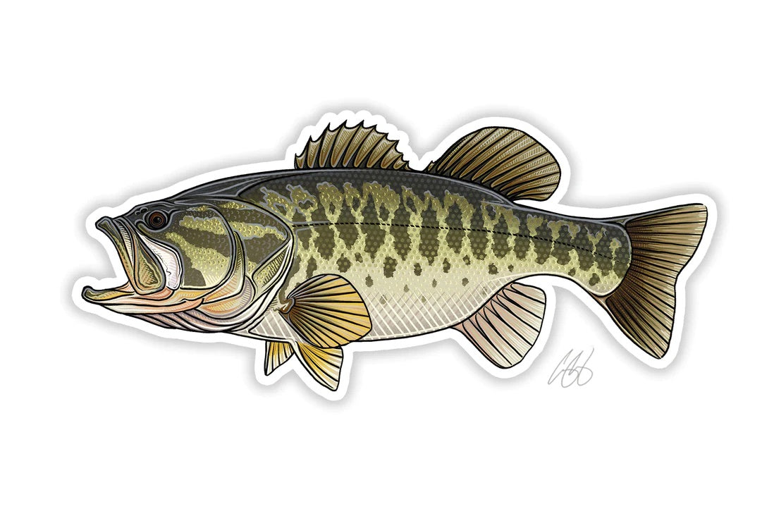 Casey Underwood Artwork – Largemouth Bass Decal