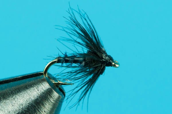 Biot Midge