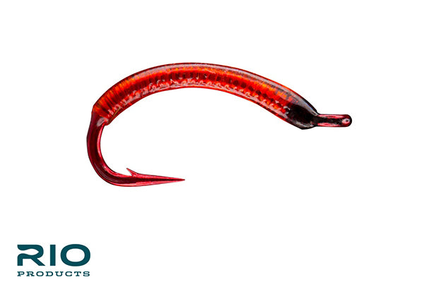 Bloodworm – RIO