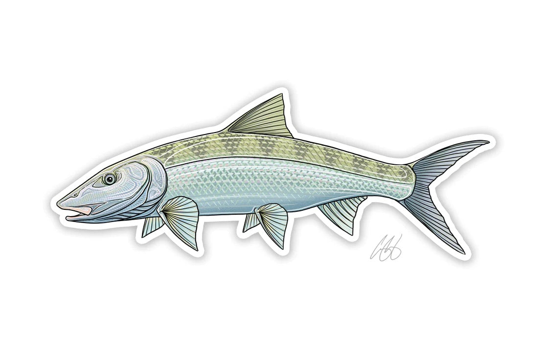 Casey Underwood Artwork – Bonefish Decal