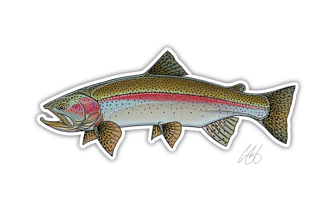 Casey Underwood Artwork – Rainbow Trout Decal