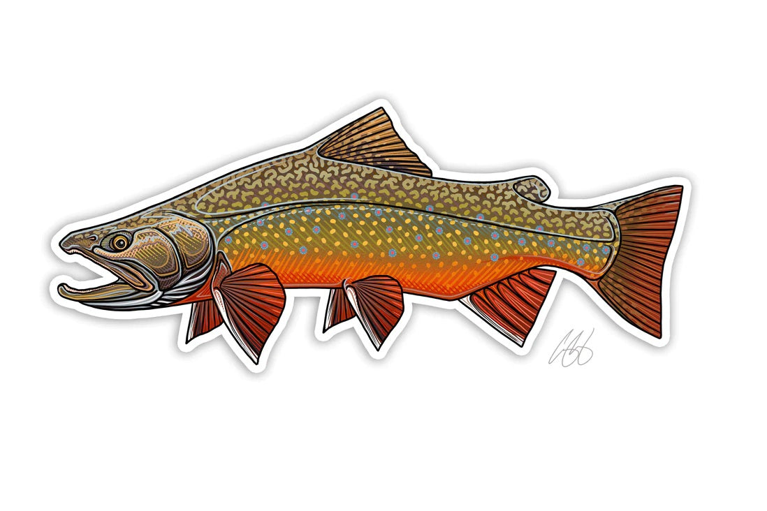 Casey Underwood Artwork – Brook Trout Decal