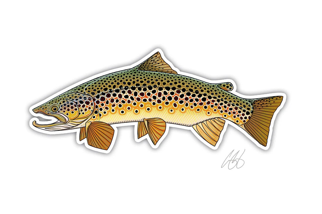 Casey Underwood Artwork – Brown Trout Decal