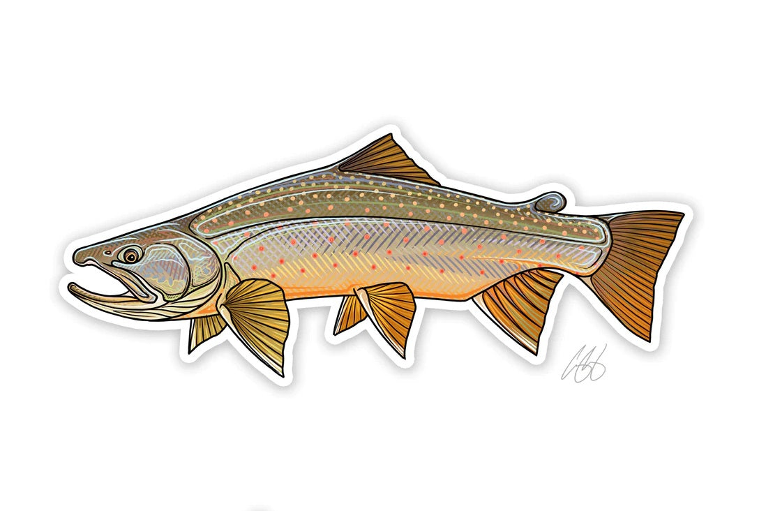 Casey Underwood Artwork – Bull Trout Decal