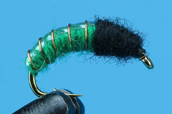 Caddis Larva Flash