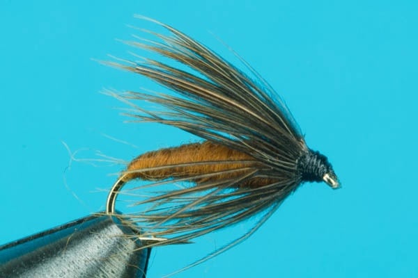 Caddis Pupa