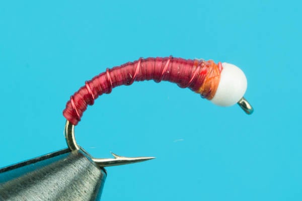 Chironomid Bomber – Tungsten