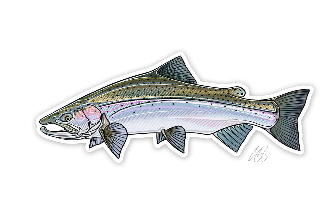 Casey Underwood Artwork – Steelhead Decal