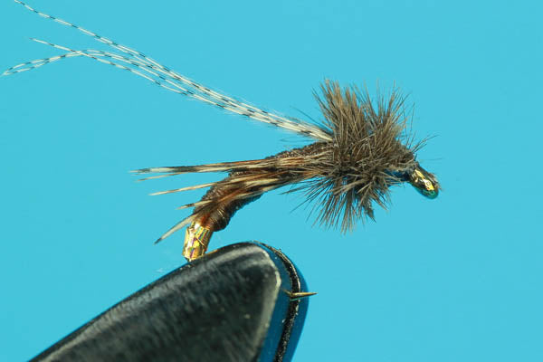 Critical Caddis