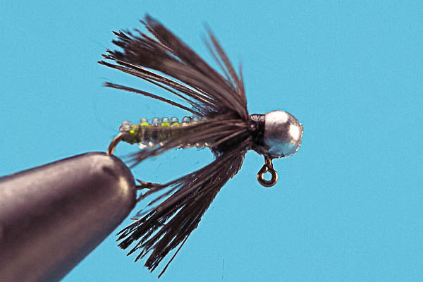 Dazzle Caddis – Tungsten