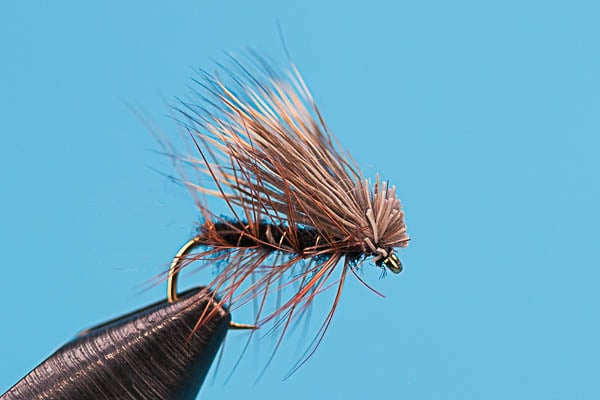 Elk Hair Caddis