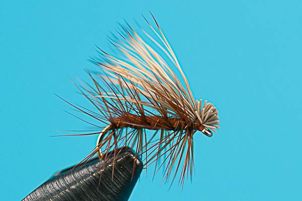 Elk Hair Caddis