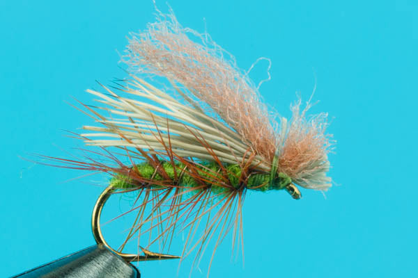 Hot Wing Caddis