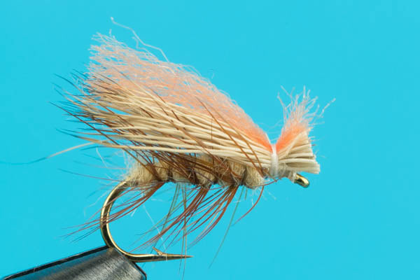 Hot Wing Caddis