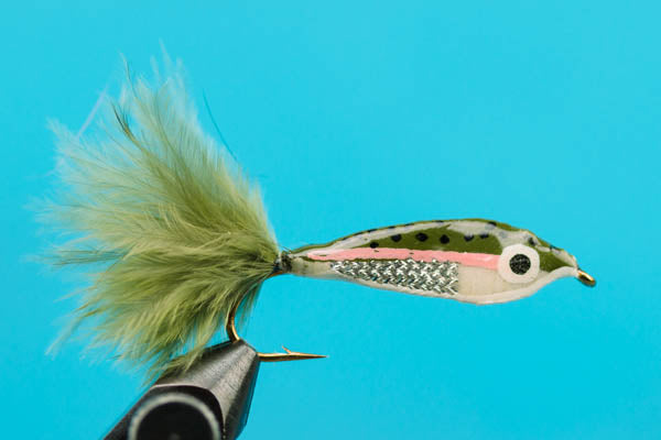 Janssen’s Minnow–Rainbow Trout