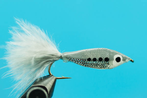 Janssen’s Minnow–Shad