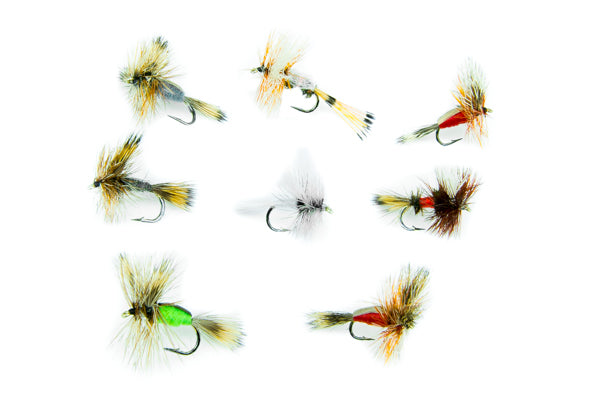 Humpy/Wulff Assortment–24 Flies #31