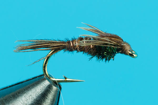 Pheasant Tail