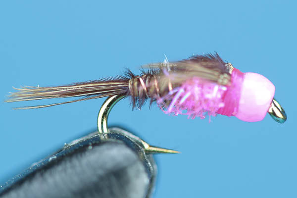 Pink Pheasant Tail