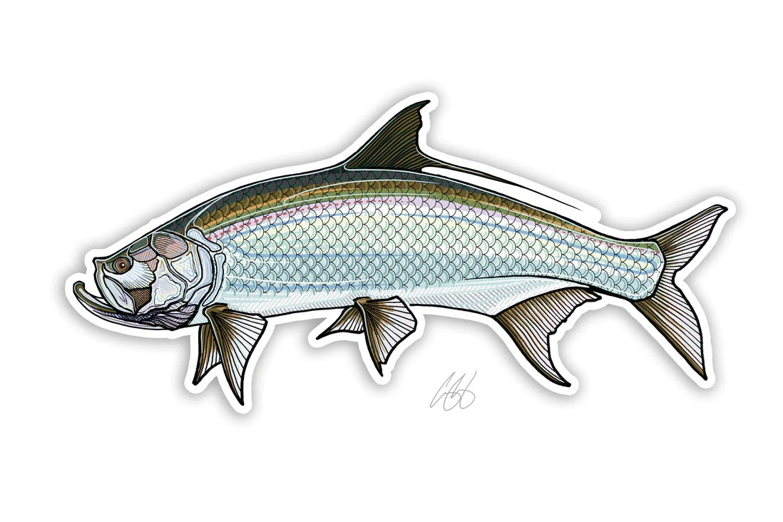 Casey Underwood Artwork – Tarpon Decal