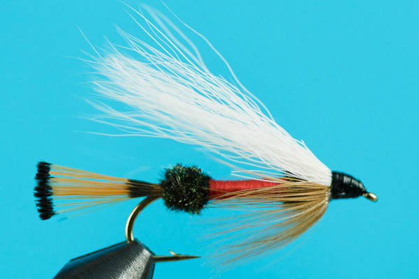 Royal Coachman Bucktail