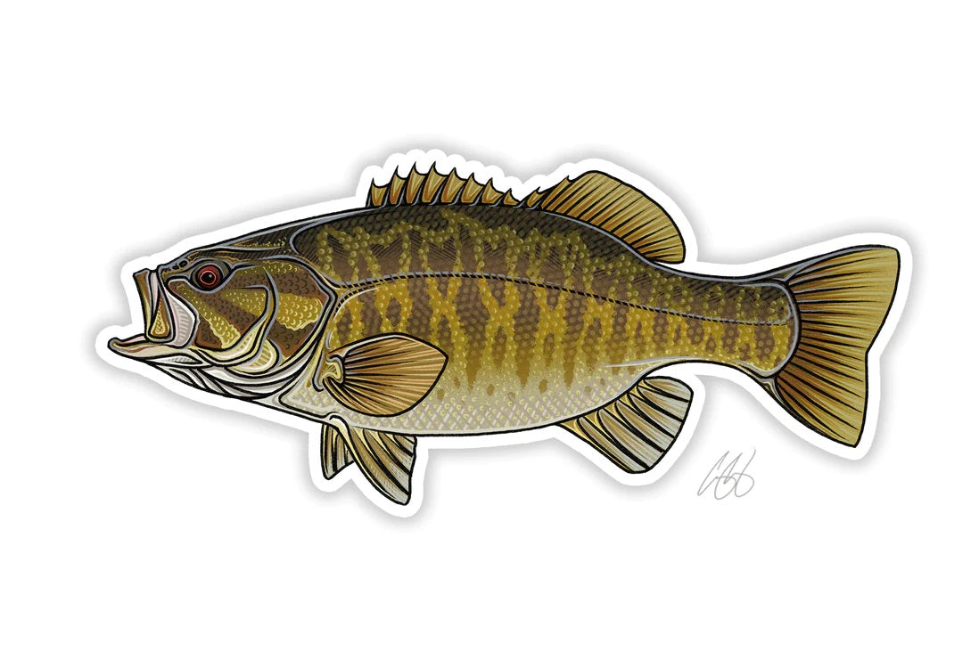 Casey Underwood Artwork – Smallmouth Bass Decal