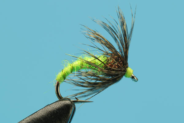 Soft Hackle Caddis