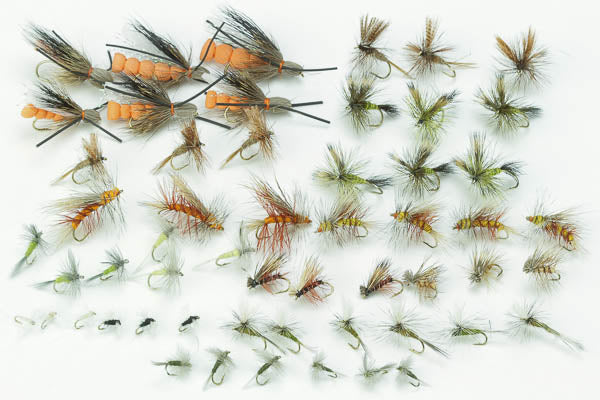 Western Dry Fly Assortment–54 Flies #57