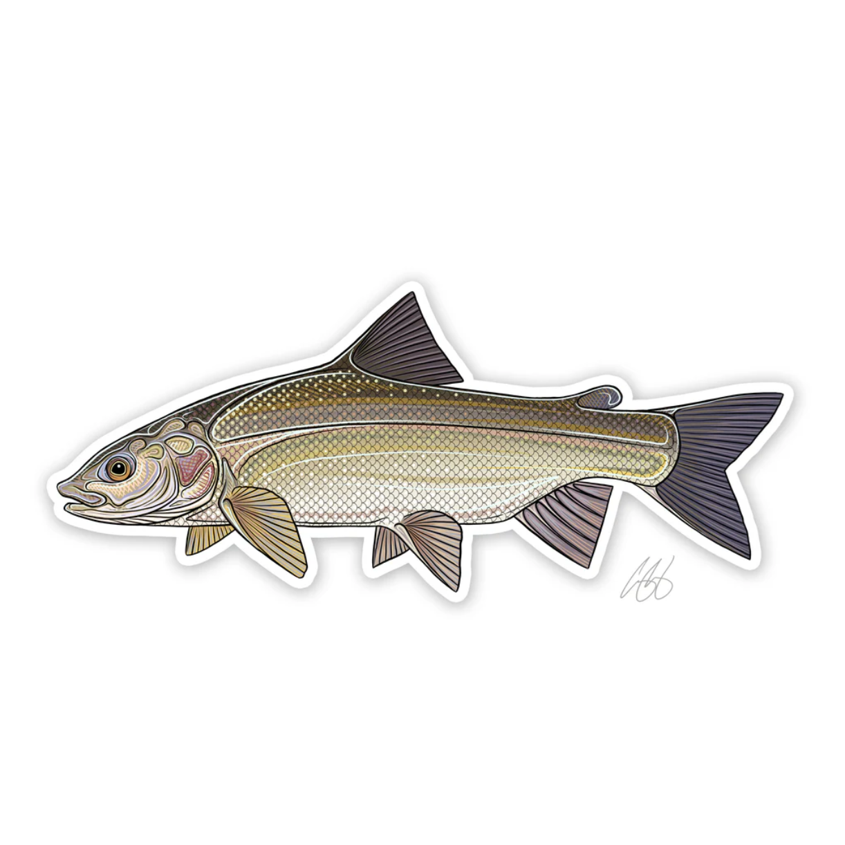 Casey Underwood Artwork – Whitefish Decal