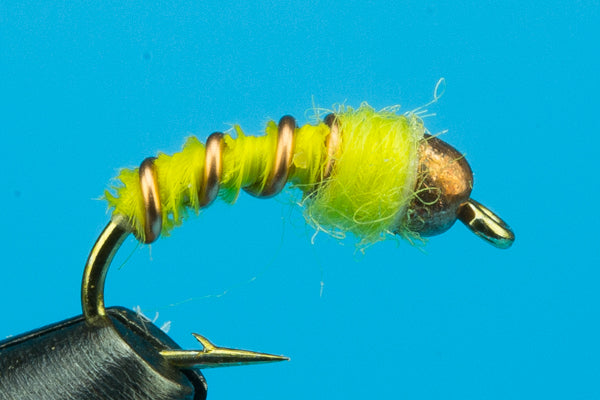 Winter Caddis Larva